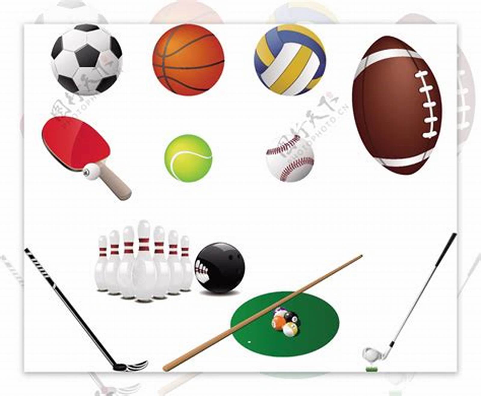 的训练与比 的训练与比