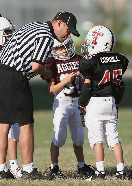 技术手段的 技术手段的