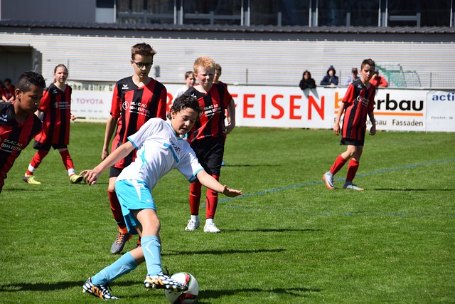 由你见证 由你见证