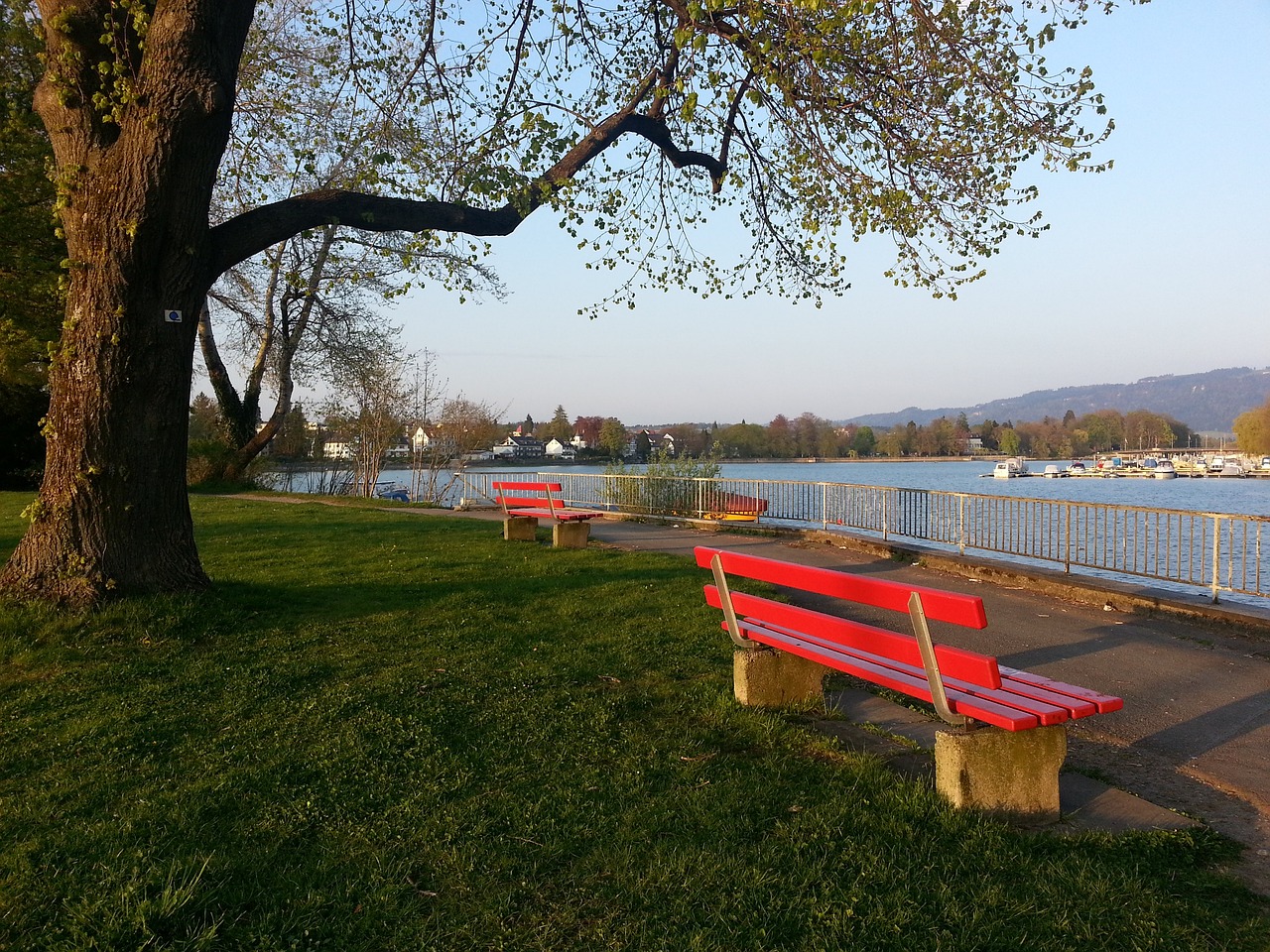 最大功臣 最大功臣