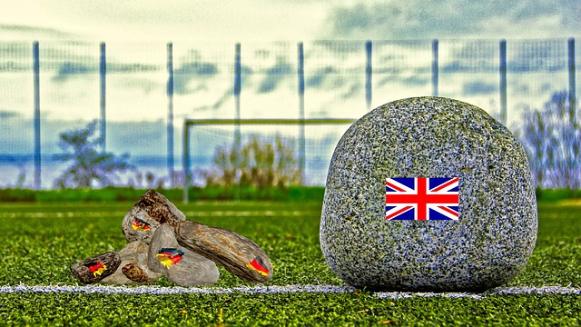 不仅带来了 不仅带来了